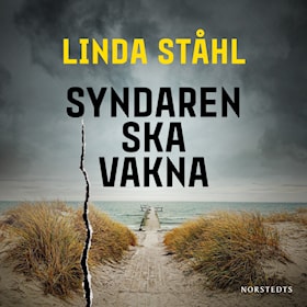 Syndaren ska vakna