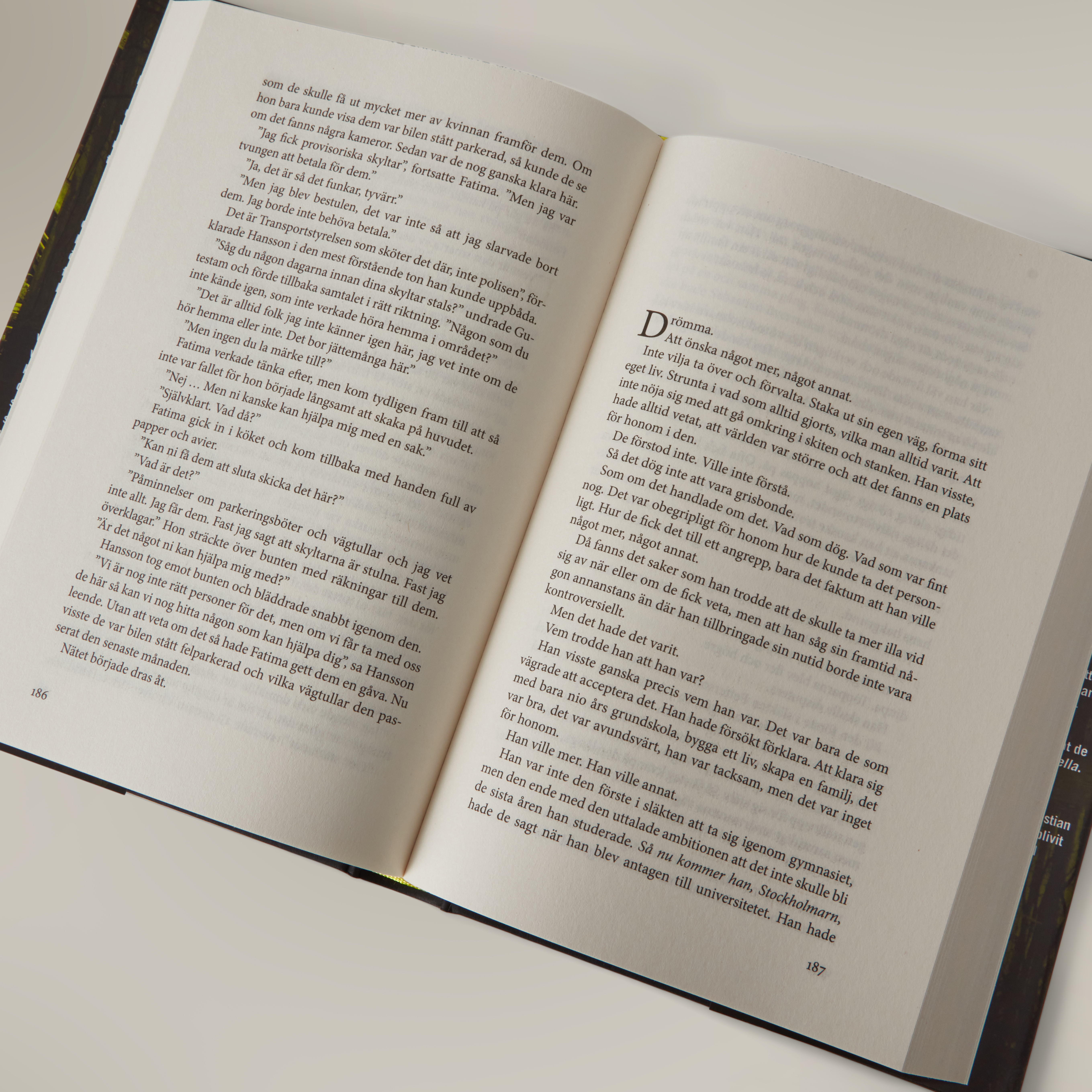 skulden_man_bär 2.jpg