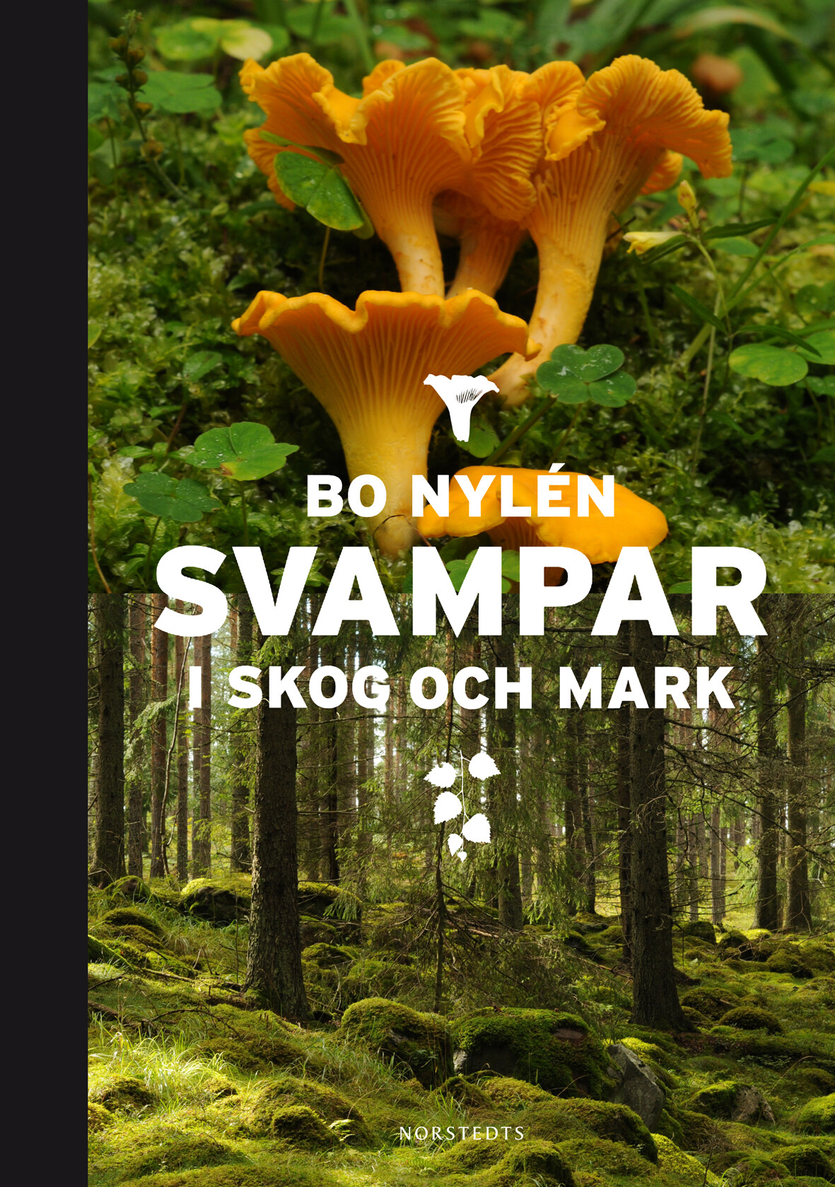 Svampar i skog & mark