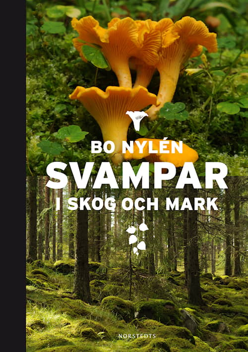 Svampar i skog och mark