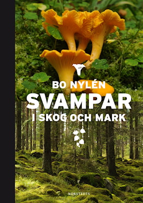 Svampar i skog och mark