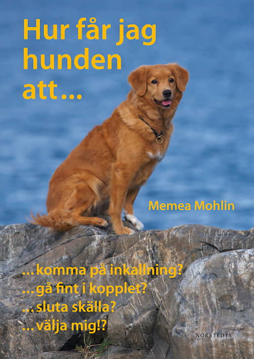 Hur får jag hunden att ...