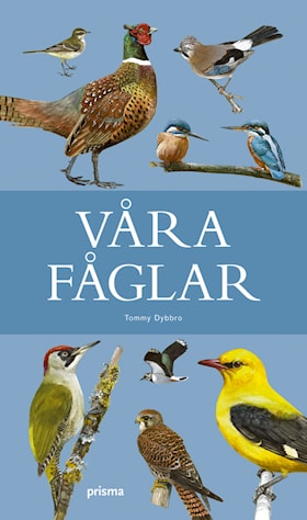 Våra fåglar