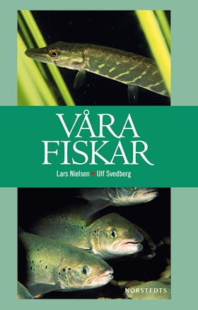 Våra fiskar