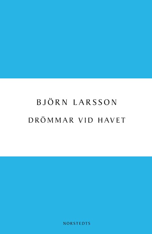 Drömmar vid havet