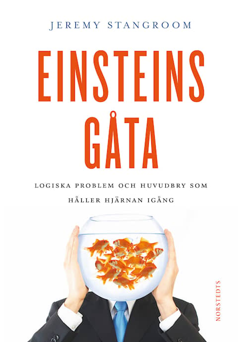 Einsteins gåta