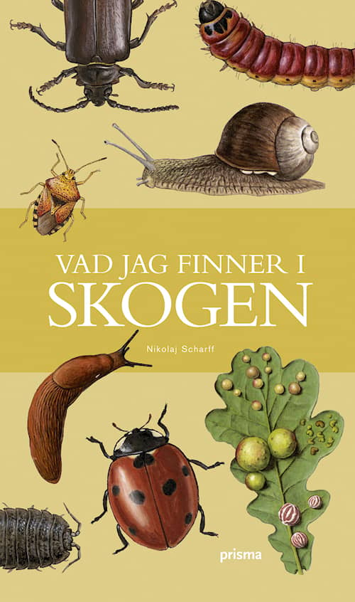 Vad jag finner i skogen