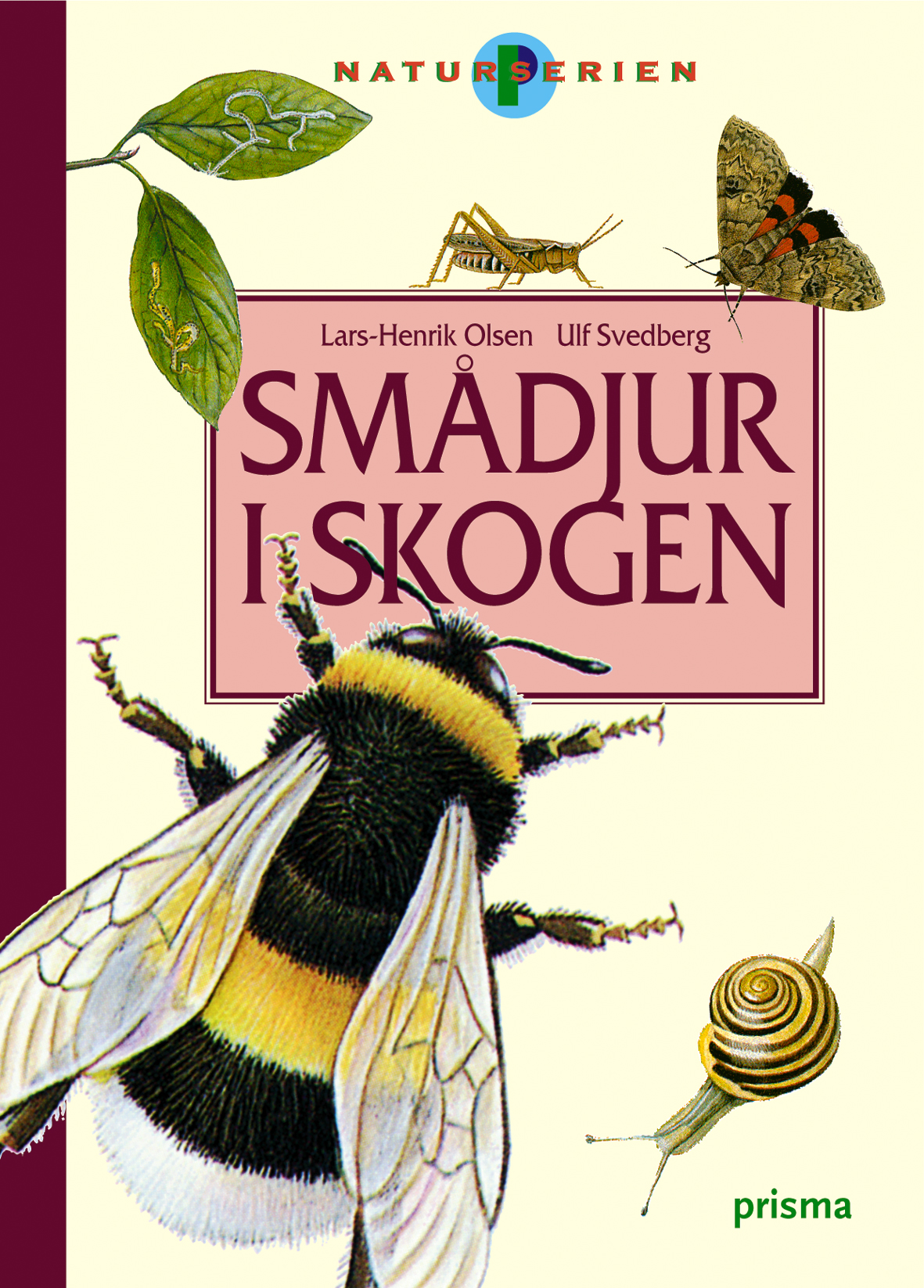 Smådjur i skogen
