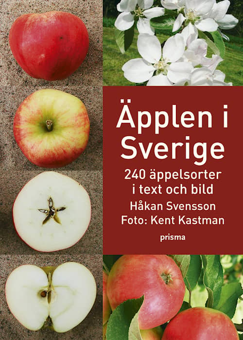 Äpplen i Sverige