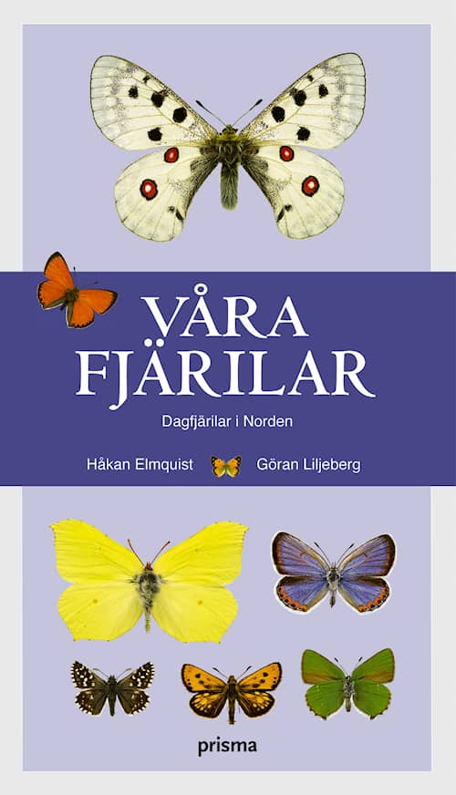 Våra fjärilar