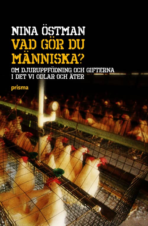 Vad gör du människa?