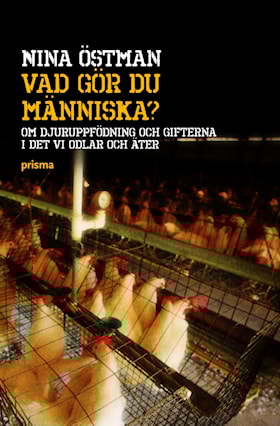 Vad gör du människa?