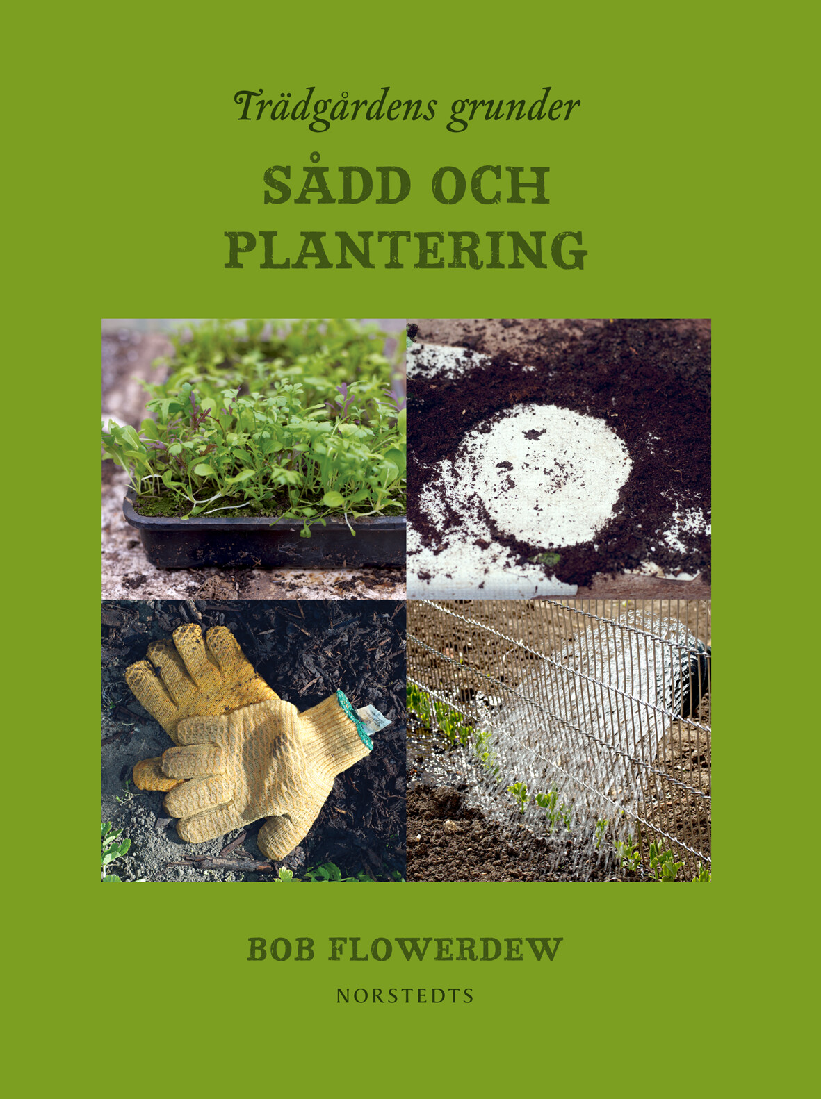 Trädgårdens grunder: Sådd och plantering