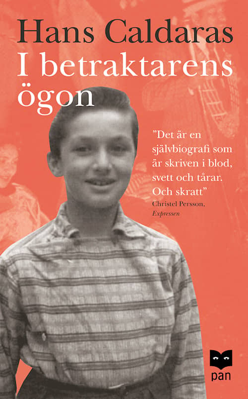 I betraktarens ögon