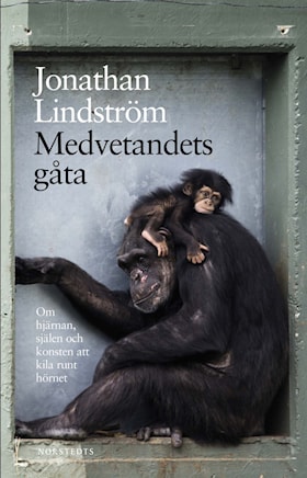 Medvetandets gåta