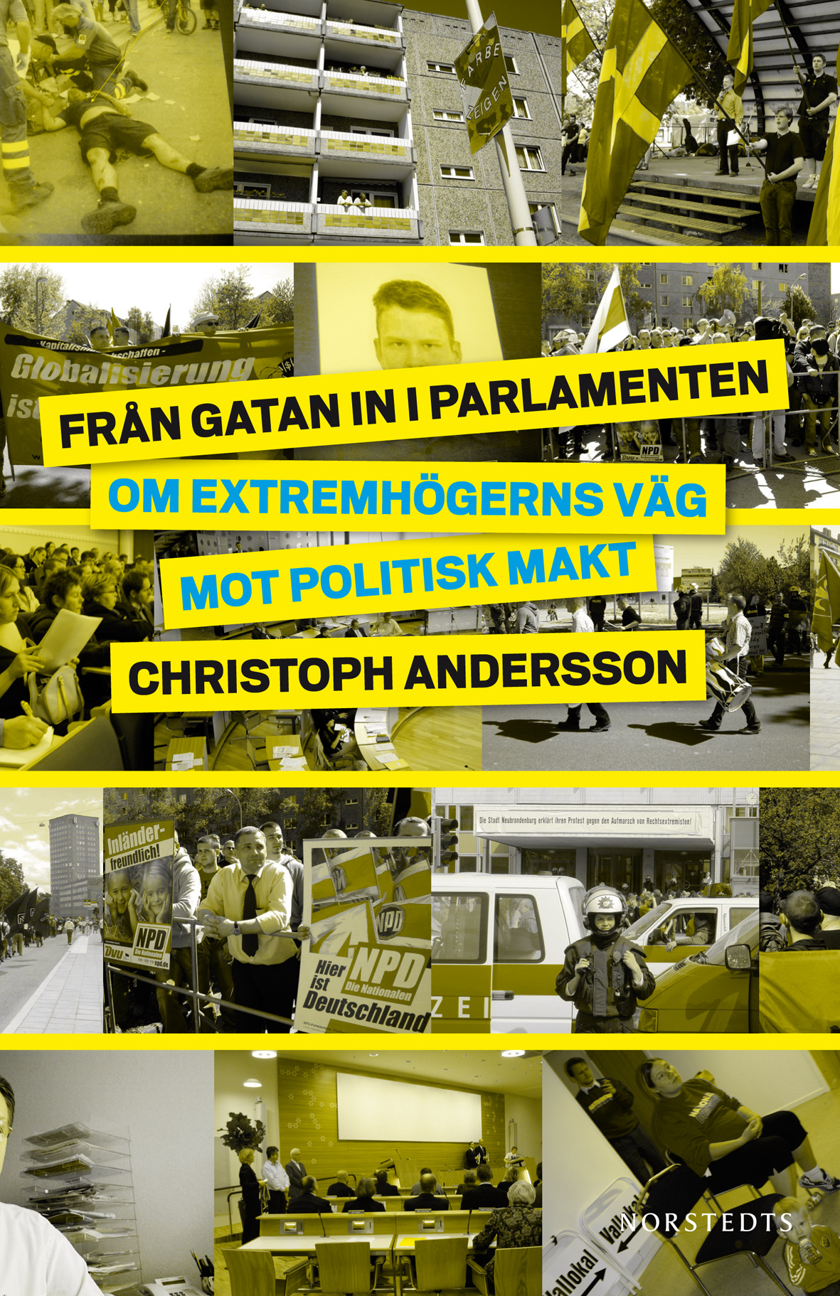 Från gatan in i parlamenten