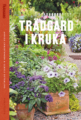 Trädgård i kruka