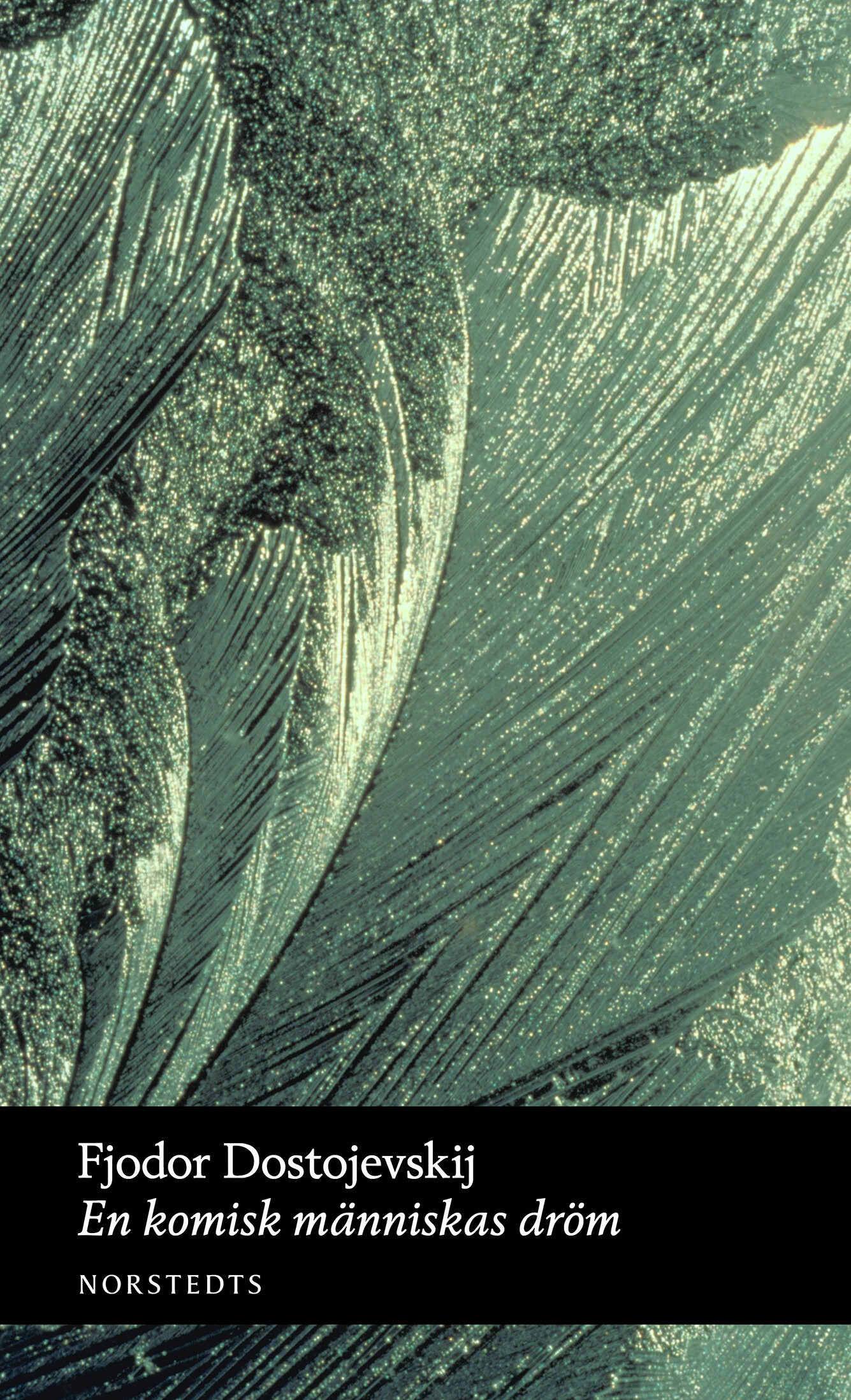 En komisk människas dröm