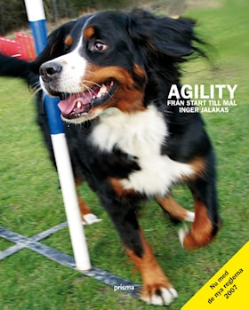 Agility - från start till mål