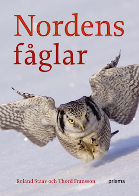 Nordens fåglar