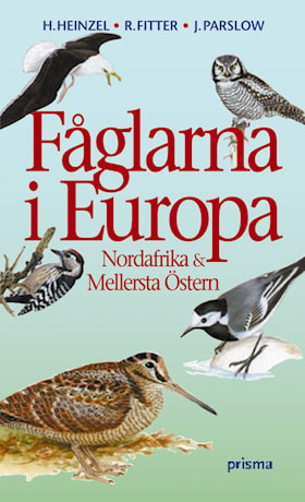 Fåglarna i Europa