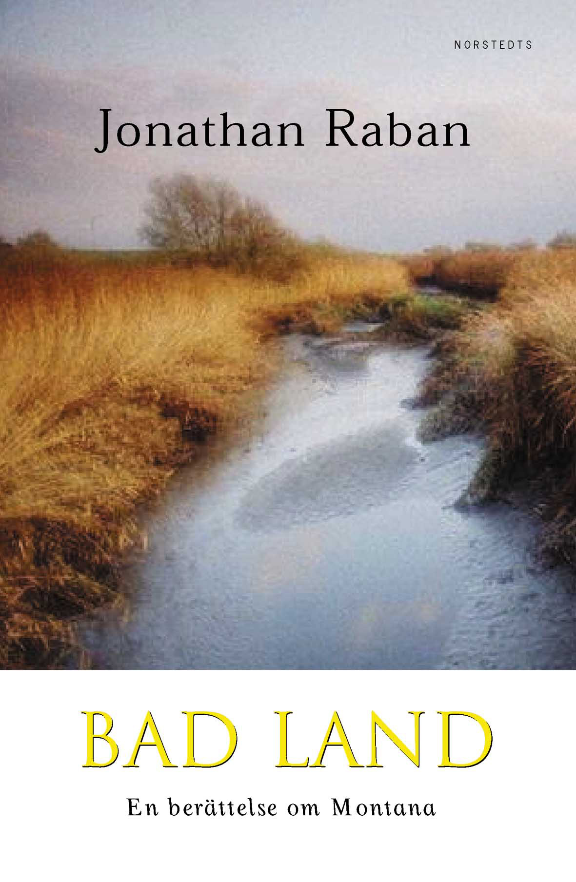 Bad land