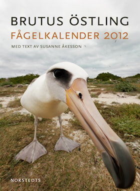 Fågelkalender 2012