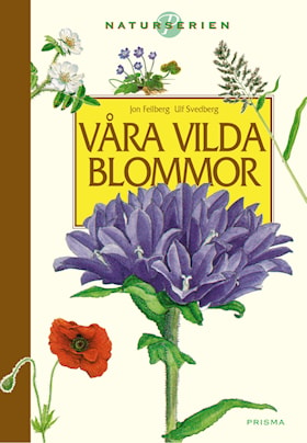 Våra vilda blommor