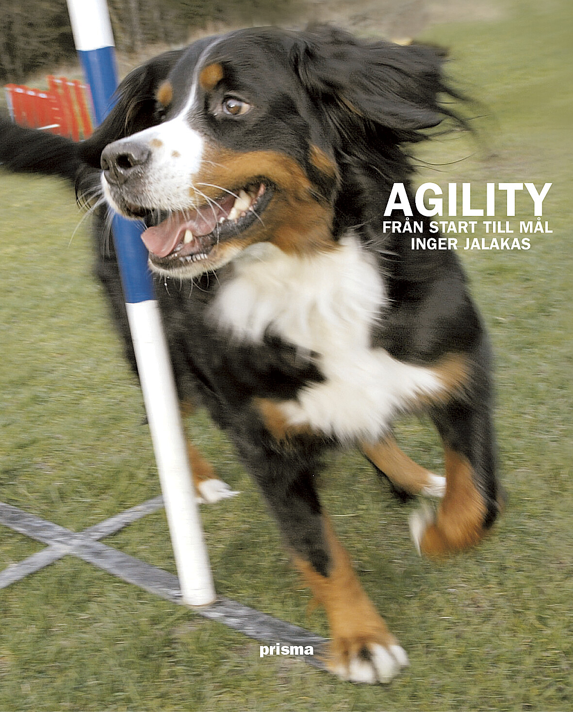 Agility - från start till mål