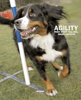 Agility - från start till mål