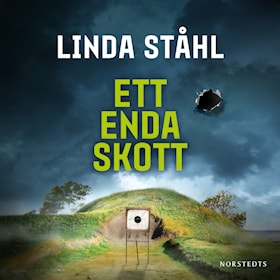 Ett enda skott