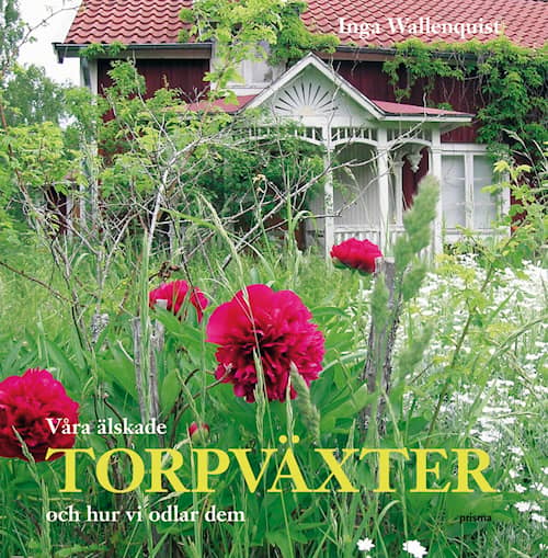 Våra älskade torpväxter