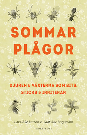 Sommarplågor