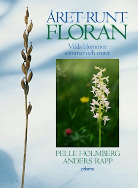 Året-runt-floran