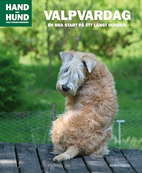 Hand med hund - Valpvardag