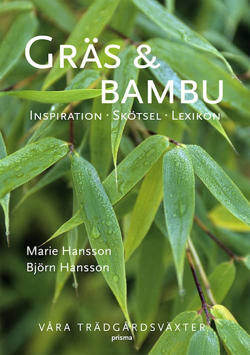 Gräs och bambu