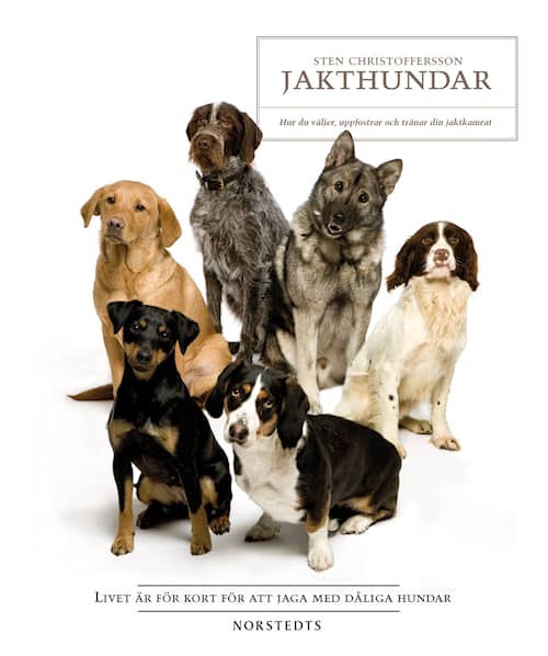 Jakthundar