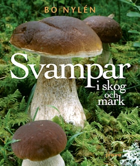 Svampar i skog & mark