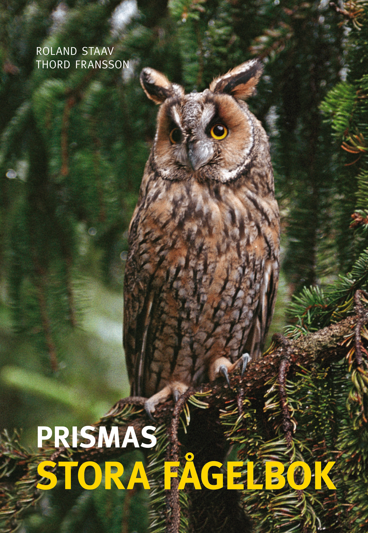 Prismas stora fågelbok