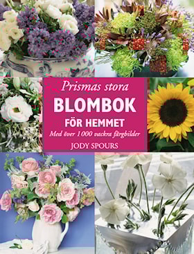 Prismas stora blombok för hemmet