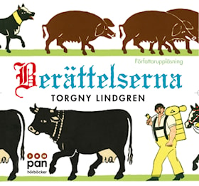 Berättelserna