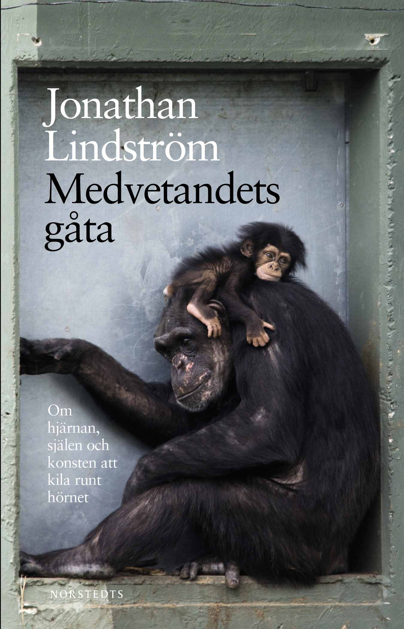 Medvetandets gåta