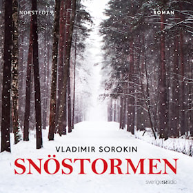 Snöstormen