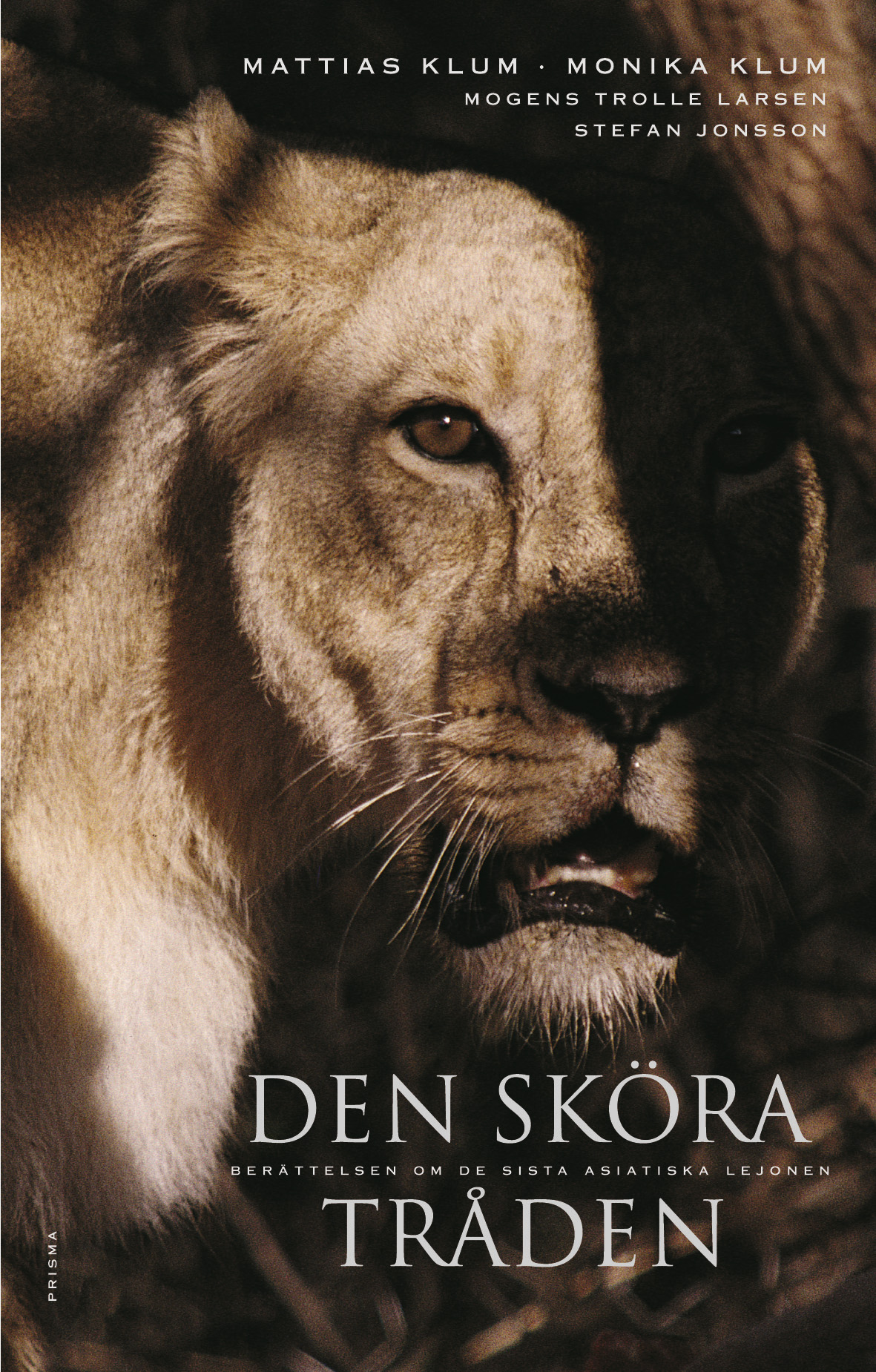 Den sköra tråden. Berättelsen om de sista asiatiska lejonen