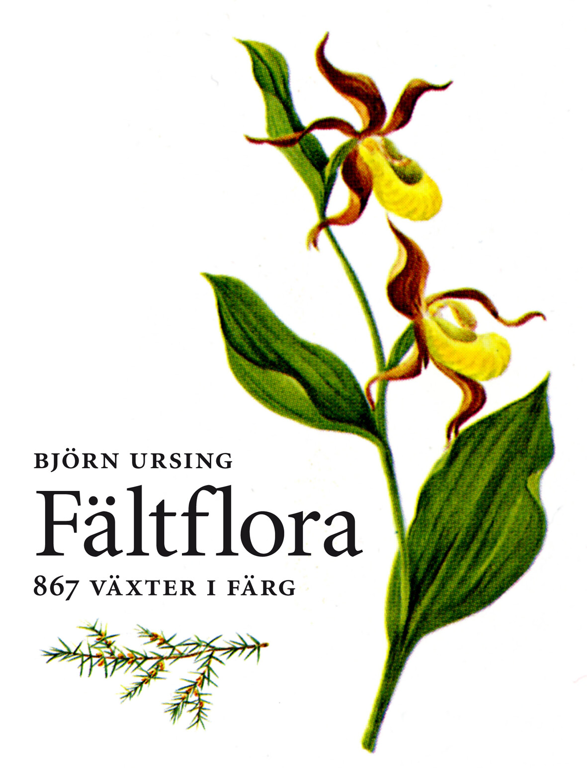 Fältflora