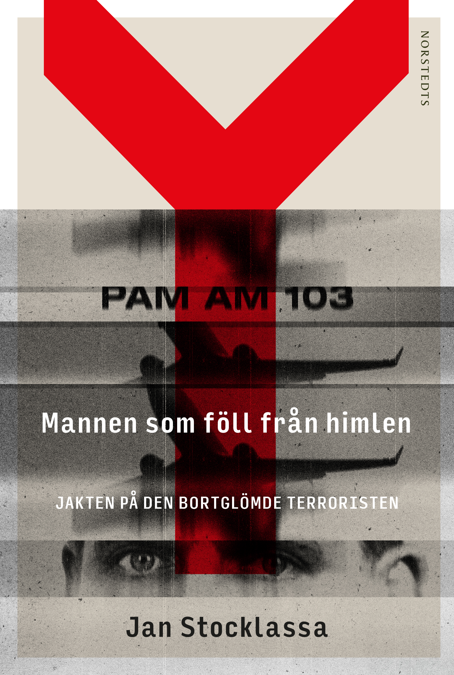 Mannen som föll från himlen