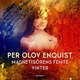 Magnetisörens femte vinter