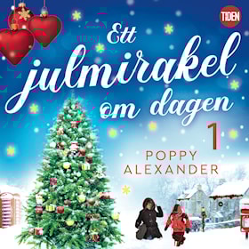 Ett julmirakel om dagen - del 1