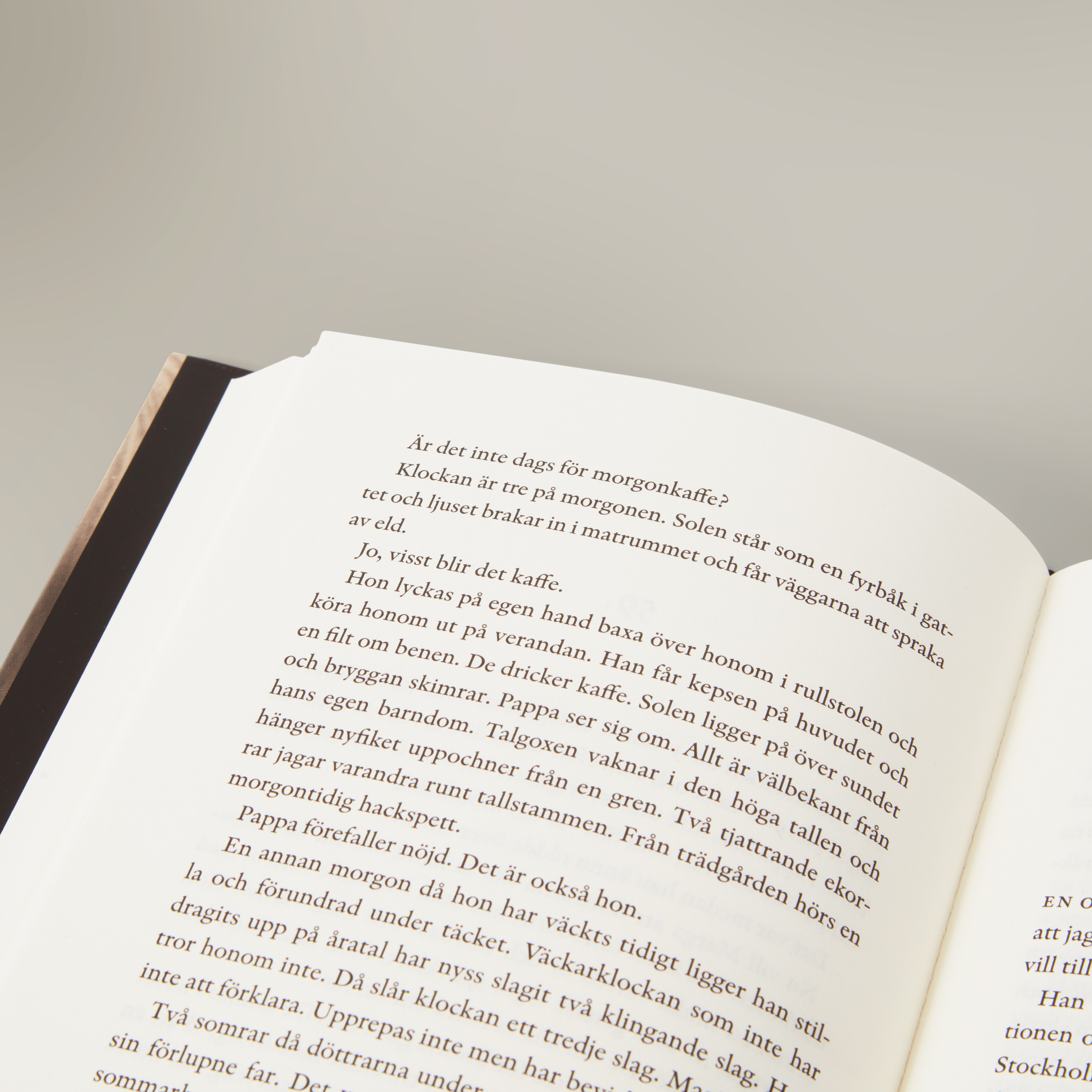 Sniglar_och_snö_angle3 6.jpg