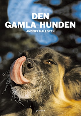 Den gamla hunden